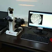 Microstructure Analysis